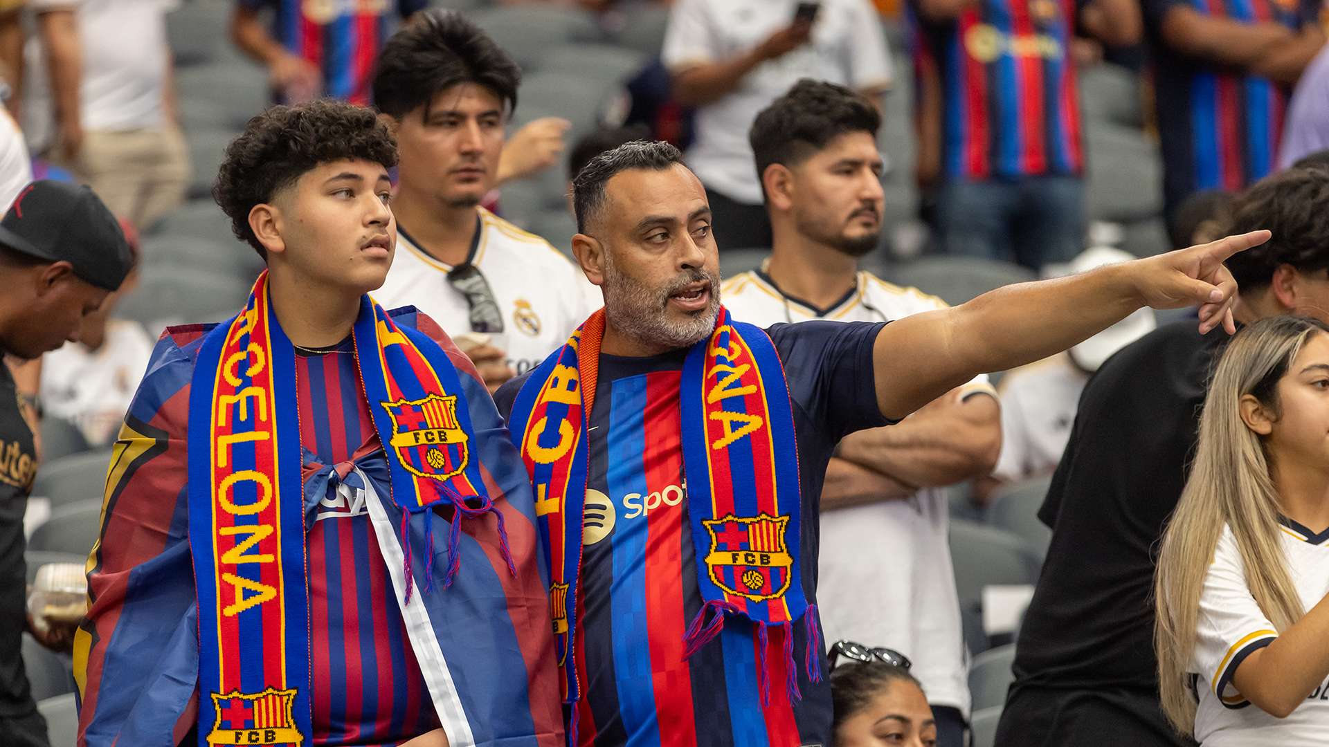 中绽放光彩 中绽放光彩