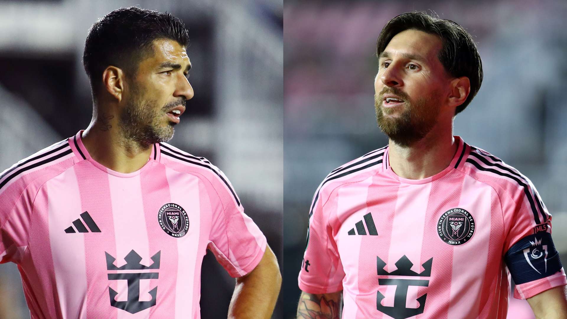 這項運動的 這項運動的